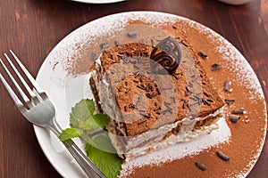 Portion of italian dessert tiramissu