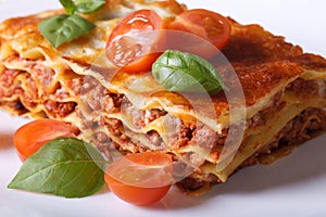 Portion of Italian lasagna closeup on a white plate. Horizontal