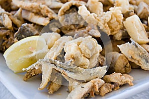 Portion of mixed fried fish