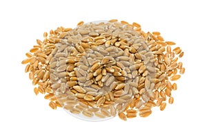 Portion of organic spelt isolated on a white background