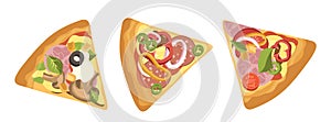 Portion of pizza snack slices with meal different assortment, mushroom and vegetables isolated set