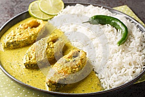 Portion of the popular Hilsa or Ilish fish stewed in mustard sauce with a side dish of white rice close-up in a plate. horizontal