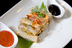 Portion of spring roll