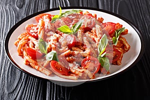 Portion of tasty Casarecce pasta with tomato sauce, cheese and basil close-up on a plate. horizontal