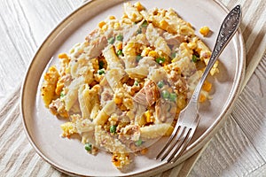 Portion of Tuna Mornay on plate, top view