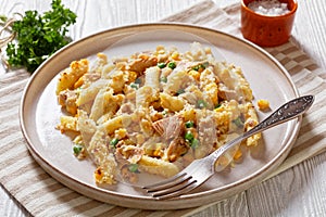 Portion of Tuna Mornay on plate, top view