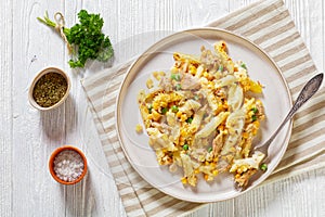 Portion of Tuna Mornay on plate, top view