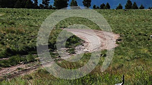 Portion of a winding dirt road at the top of Mt. Eldon in Flagstaff, Arizona