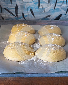 Portions of yeast dough awaiting pizza. Billets lie on parchment, laid out along