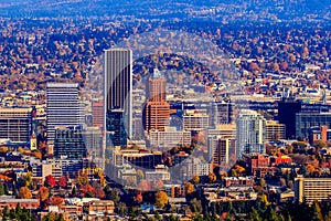 Portland Downtown Cityscape