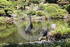 Portland Japanese Garden