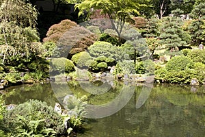 Portland Japanese garden