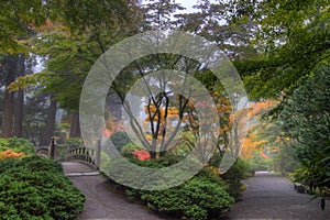 Portland Japanese Garden in Fall