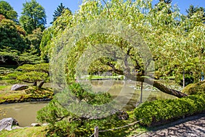 Portland Japanese garden. Nice landscape desing. Well kept garden. photo