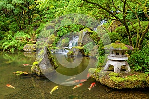 Portland Japanese Garden pond with koi fish