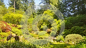 Portland Japanese Garden Summer