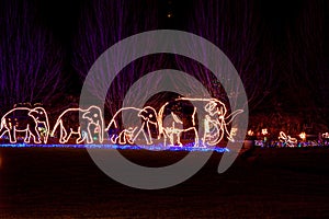 Christmas decoration at Portland Zoo during Zoolights week. A family of elephans walking on a field