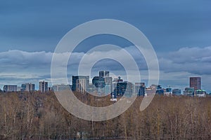 Portland Skyline Nestled in Oaks Bottom Wildlife Refuge