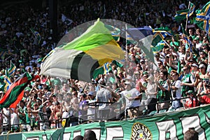 Portland Timbers Army Jeld-Wen Field