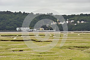 Portmeiron village on the River Dwyryd Estuary