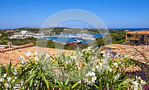 Porto Cervo, Sardinia, Italy - Panoramic view of luxury yacht port, marina and residences of Porto Cervo resort at the Costa