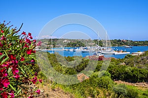 Porto Cervo, Sardinia, Italy - Panoramic view of luxury yacht port, marina and residences of Porto Cervo resort at the Costa