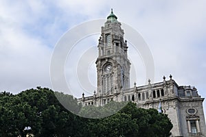 Porto City Hall. Pine trees. Blue sky with clouds