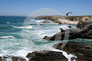 Porto Covo . Portugal photo