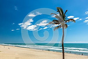 Porto das Dunas beach at the Aquiraz district in Fortaleza, Brazil photo