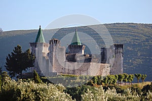 Porto de MÃÂ³s Castle photo