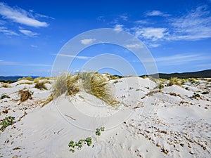 Porto Pino beach with white dunes