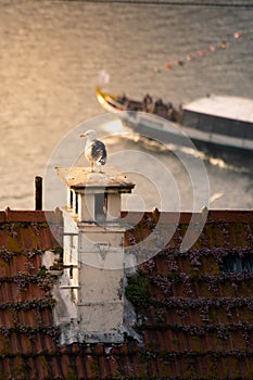 Porto`s traditional architecture details and boats