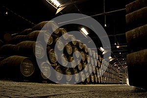 Porto wine Barrel in warehouse photo