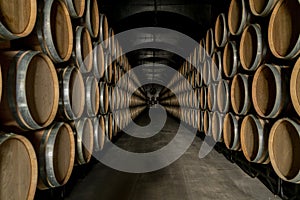 Porto Wine barrels . . . . .