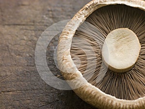 Portobello Mushroom photo