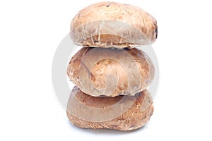 Portobello mushroom as meat burger replacement
