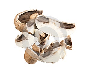 Portobello mushroom, portabella or portobella isolated on white