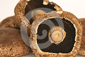 Portobello mushrooms 3