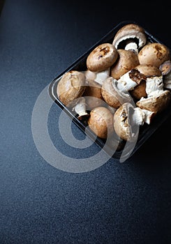 Portobello Mushrooms or Agaricus bisporus Isolated Photo