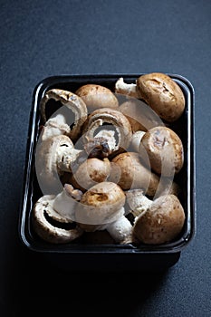 Portobello Mushrooms or Agaricus bisporus Isolated Photo