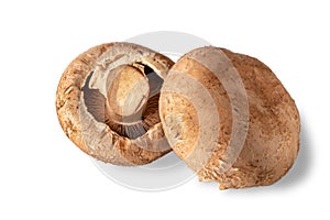 Portobello mushrooms isolated on white background, top view,