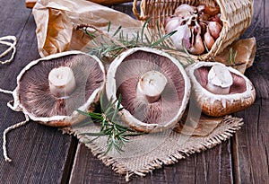 Portobello mushrooms over rustic wooden background photo