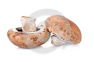 portobello mushrooms on white background