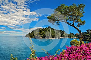 Portofino bay on Ligurian coast in Italy