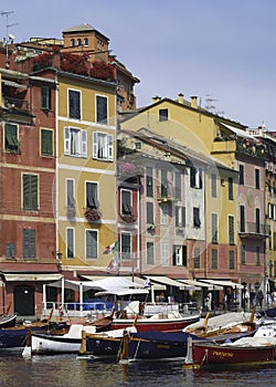 Portofino harbor photo