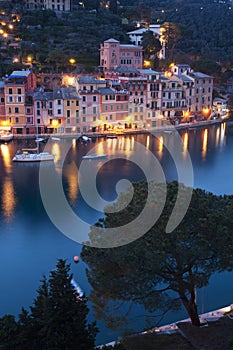 Portofino by night