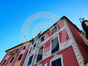 Portofino pictoresque village Italy colorful buildings painted houses