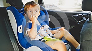 Portrait of 3 years old toddler boy sitting in child safety seat in car and eating cookies. Kids travelling in