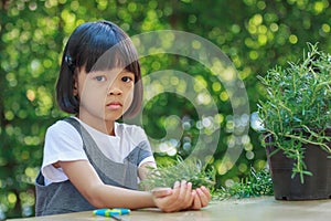 Portrait of a 4 to 6 year old Thai girl, cute looking, using scissors to cut a rosemary Prepare to cook healthy food And put the