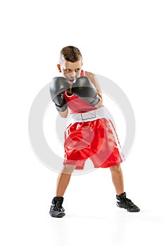 Portrait of active boy, beginner boxer in sports gloves and red uniform isolated on white background. Concept of sport